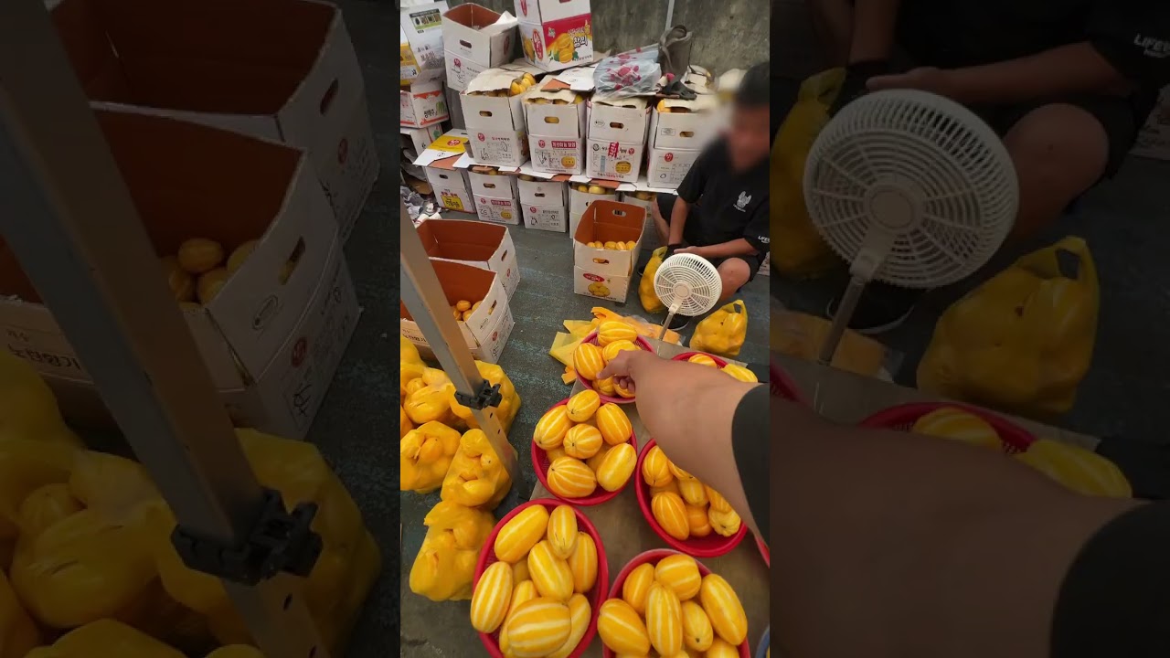 Korean Countryside Market Day