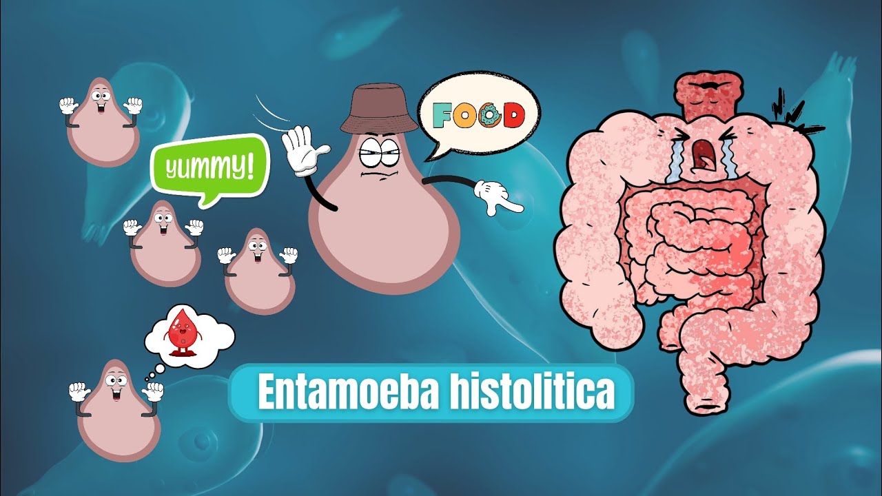 Amibiase&nbsp; ▎Comprendre cette Infection Parasitaire et Comment s'en Prot&eacute;ger