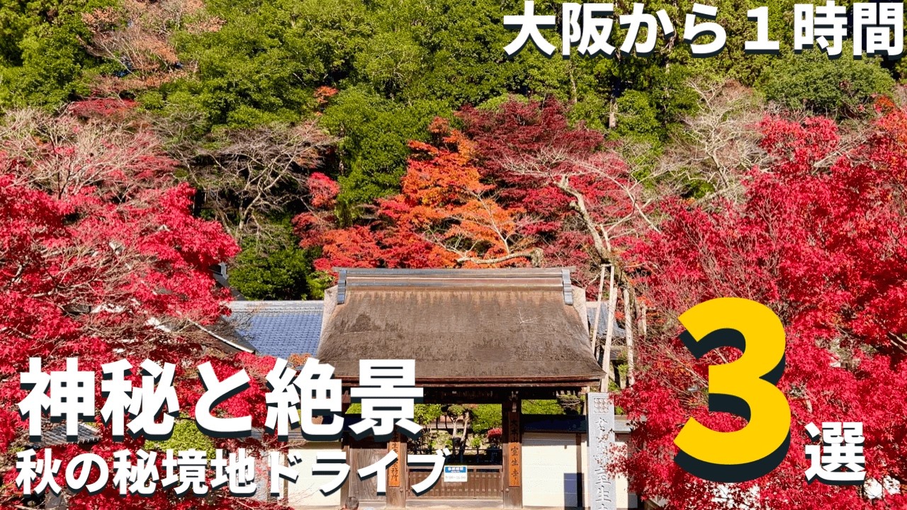 【神秘•絶景】大阪から１時間「まだ外国人に見つかっていない」秋の絶景ドライブ３選 / 知る人ぞ知るパワースポットなど