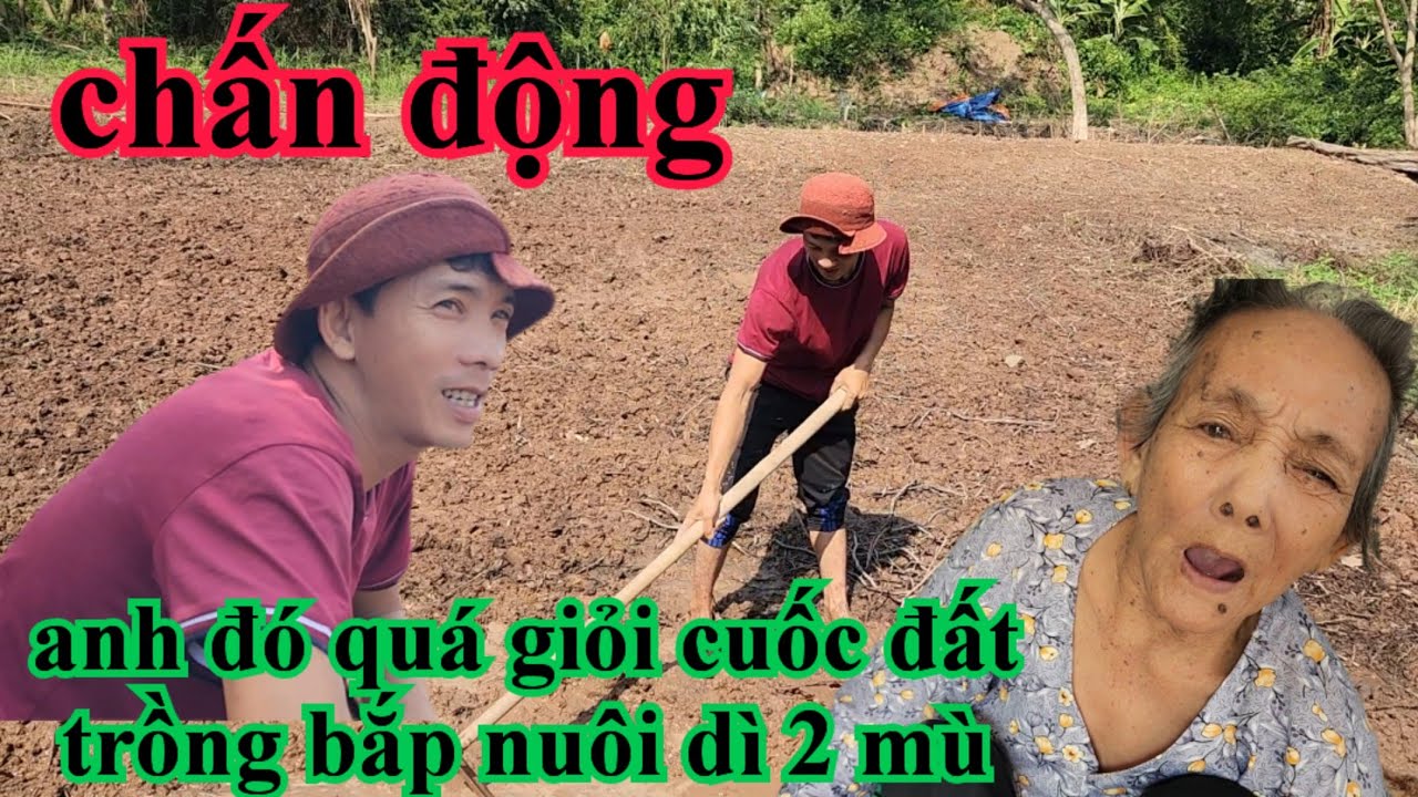 Chấn động anh đó cuốc đất trồng bắp kiếm tiền nuôi dì 2 mù