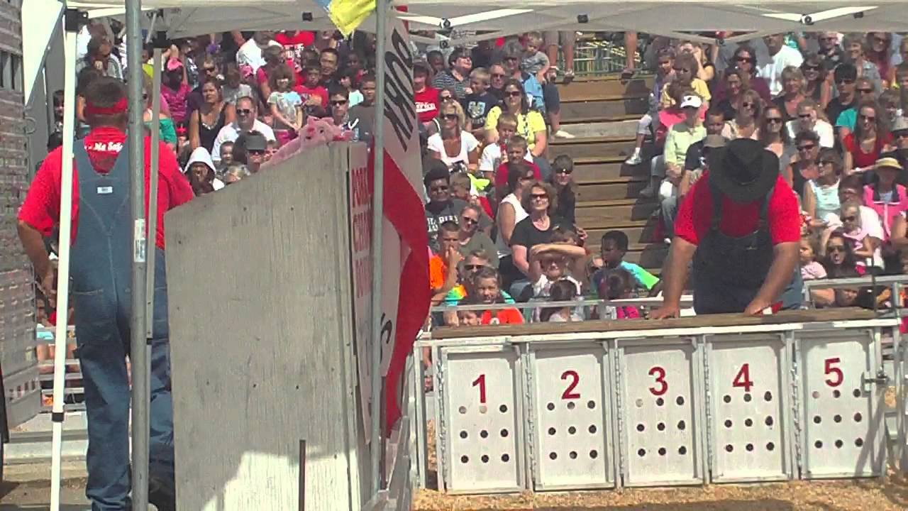 Pig Races at Wisconsin State Fair 2012