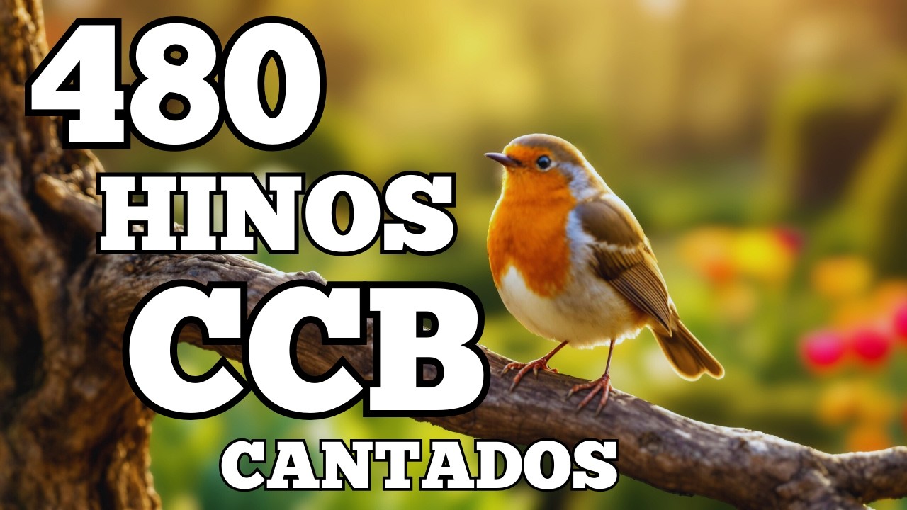 480 HINOS CANTADOS CCB-  13/02/2026  HINÁRIO 5 - CCB 1,2,3,4,5,6,7,8,9,10,11,12,13,14,15,16,17,18...