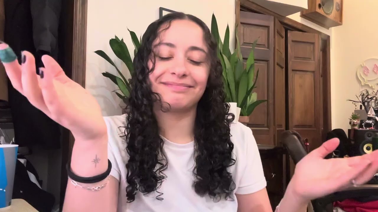 Traitors Audition