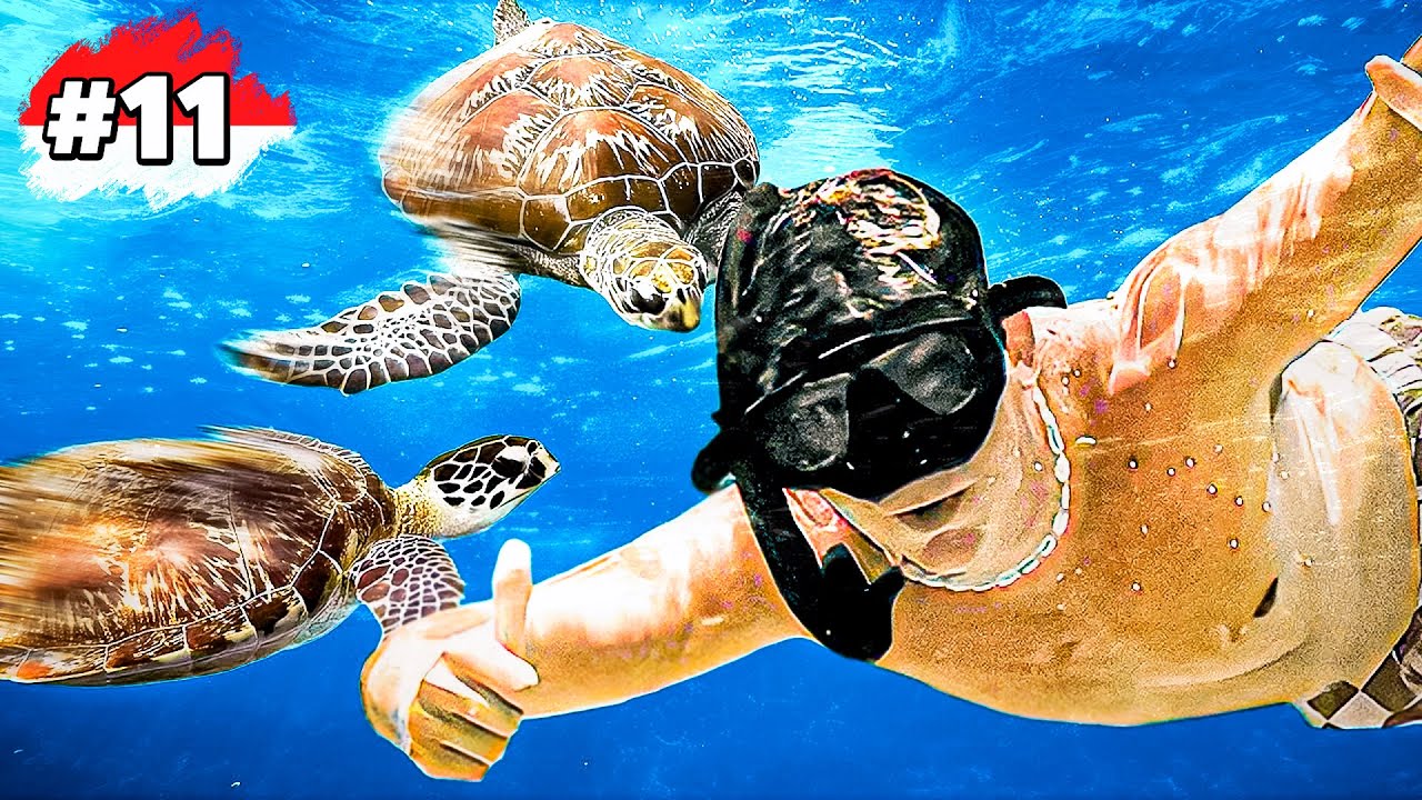 NADANDO con TORTUGAS en BALI + FIESTA COMO&nbsp;SIEMPRE