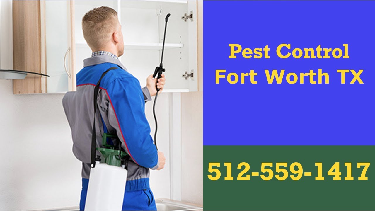 Exterminator Fort Worth Texas Emergency Pest Control Residential Bed Bug Treatment & Termite Control