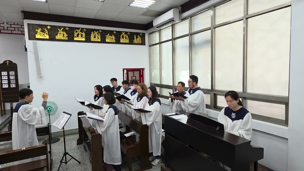 2026년 3월 1일 특송 평화의 기도