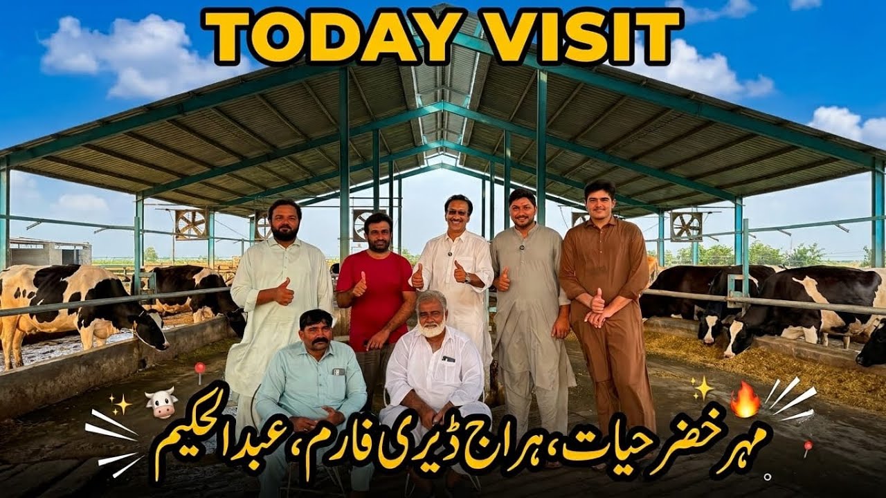 Pakistan Ka Zabardast 🥰 Haraj Dairy Farm Tour!🔥Aisa Dairy Farm  Pehle Kabhi Nahi Dekha! 😱