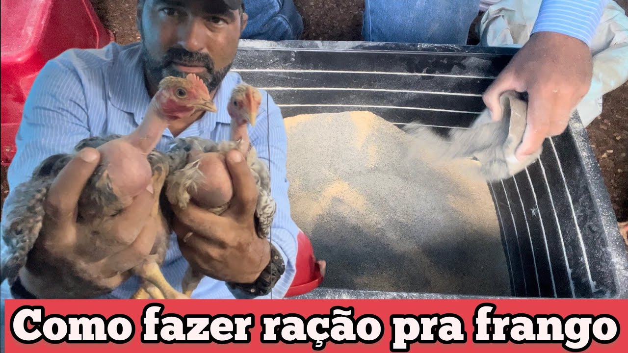 COMO FAZER INICIAL | CRESCIMENTO | ENGORDA. USANDO MILHO SOJA E NUCLEO MINERAL. FAÇA VOCÊ MESMO DAÍ.
