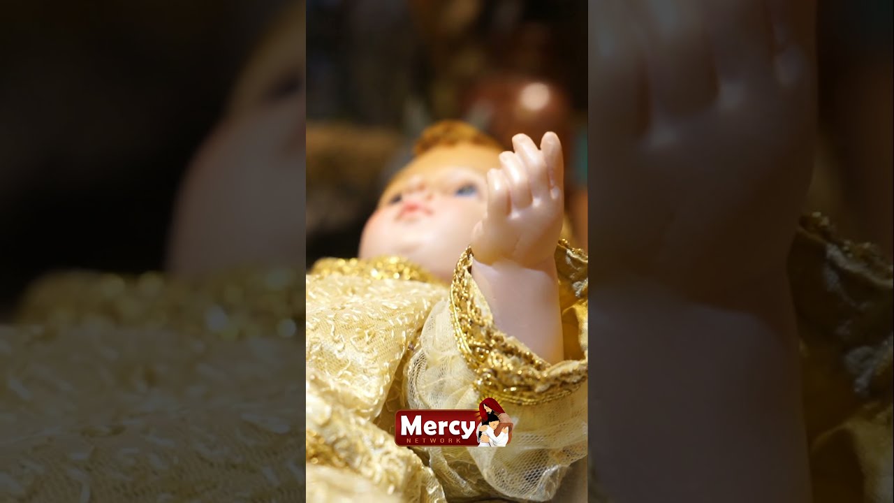 #shorts #mercytv Christmas Crib - Our Lady of Angels Church, Puducherry #catholic #christmas