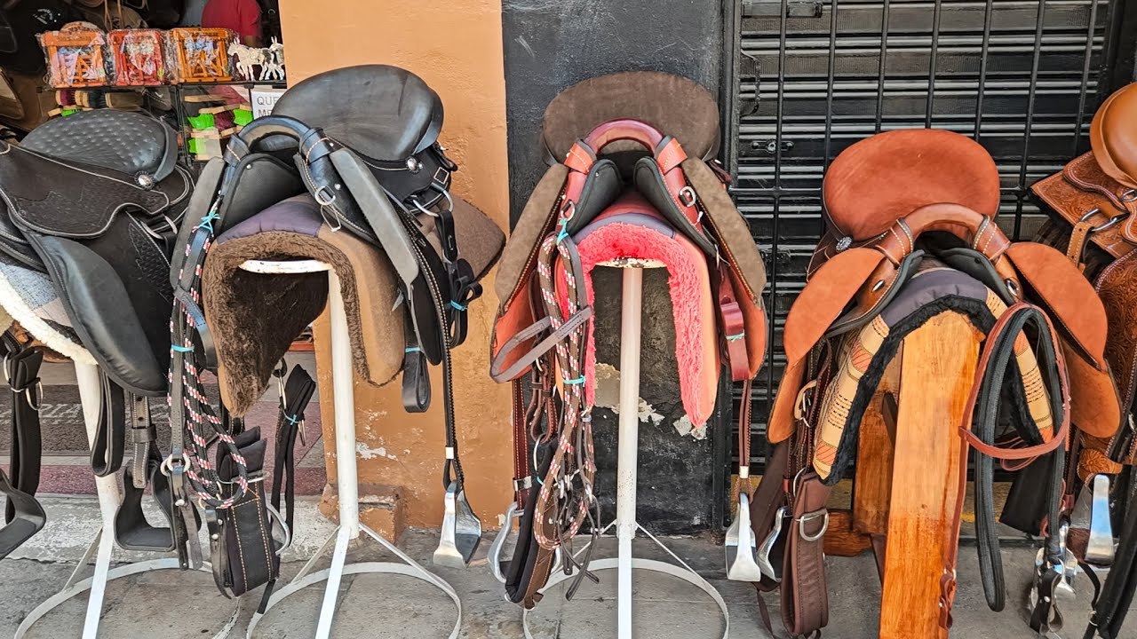 SELAS PROFISISONAIS DIRETO DA FONTE EM CACHOEIRINHA PE!!