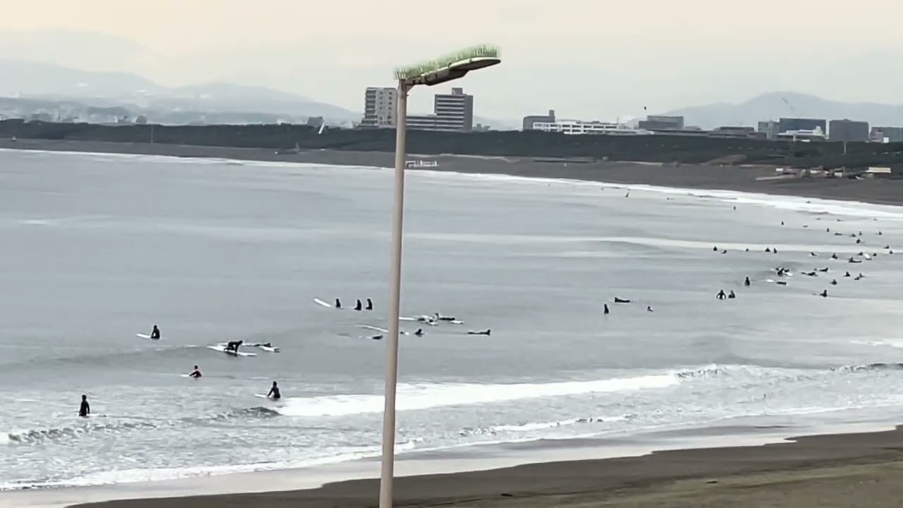 【鵠沼海岸】2026.3.17(火)AMヒザsetモモ