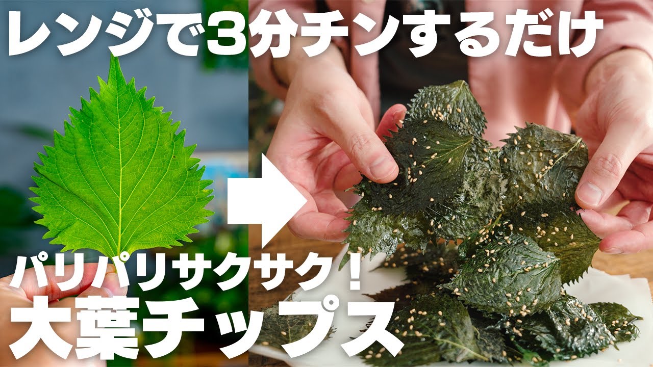 【材料2つ】レンジで3分！農家さんに教えてもらった、パリパリサクサク大葉チップスが美味すぎる。【低糖質 / ダイエット】