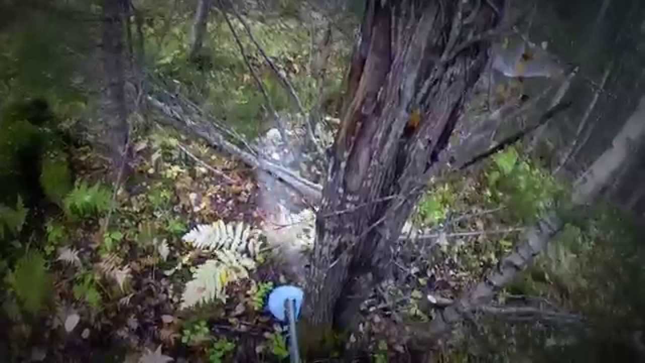 GoPro Action Forestry in Sweden; Skog Röjning