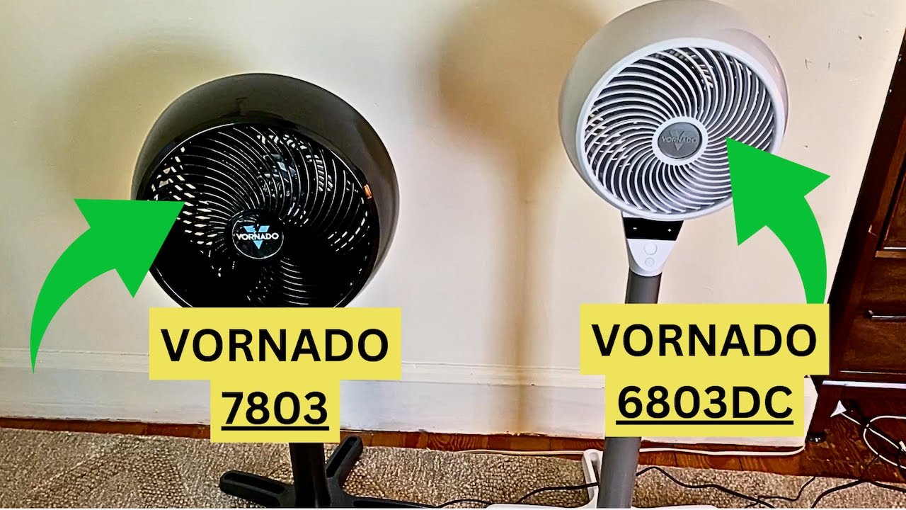 Which Vornado Pedestal Fan is the Best? | Vornado 7803 vs Vornado 6803DC