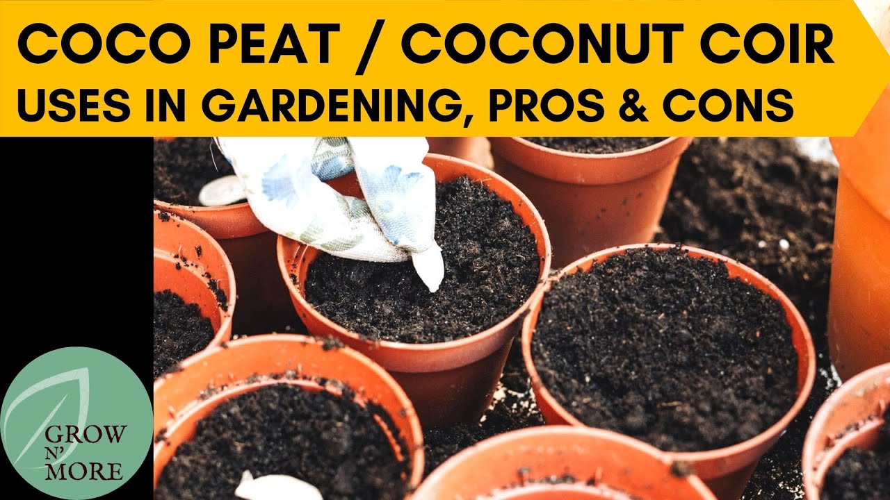Coco Peat / Coco Pith / Coconut Coir | Uses in Gardening | Pros & Cons | Complete Information