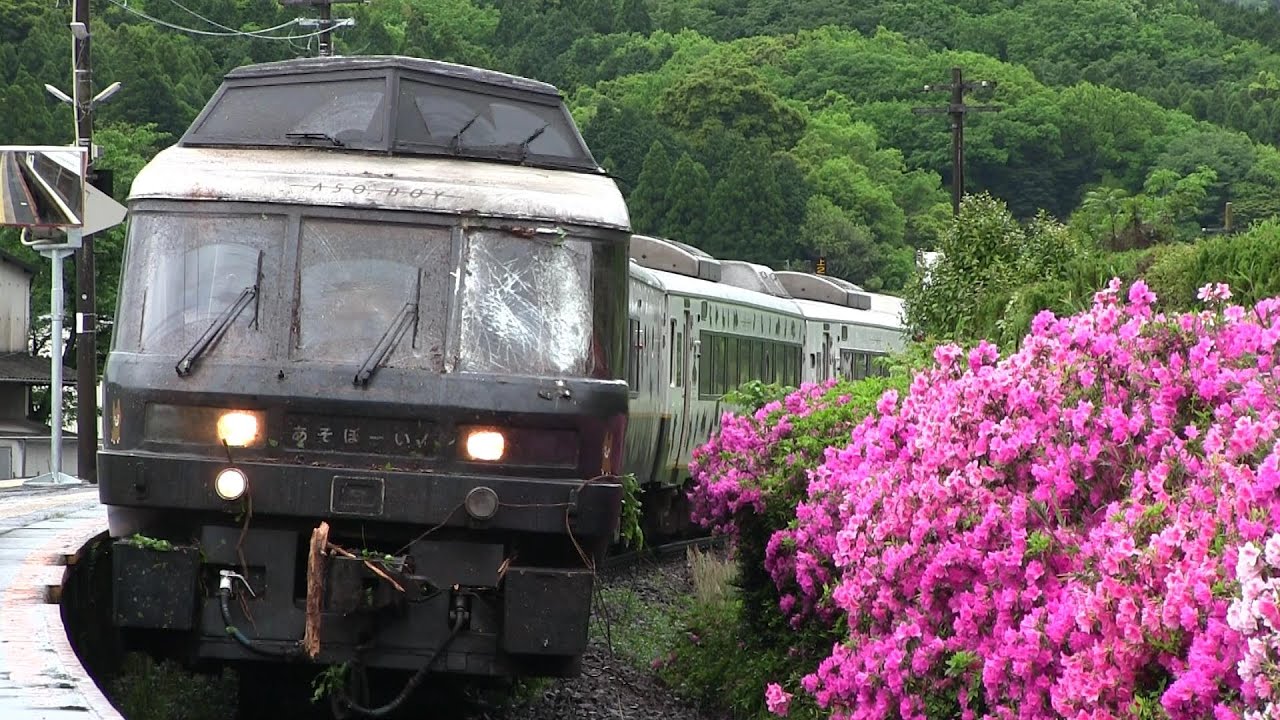 直前で倒木と衝突し中判田駅に到着する特急「あそぼーい！」