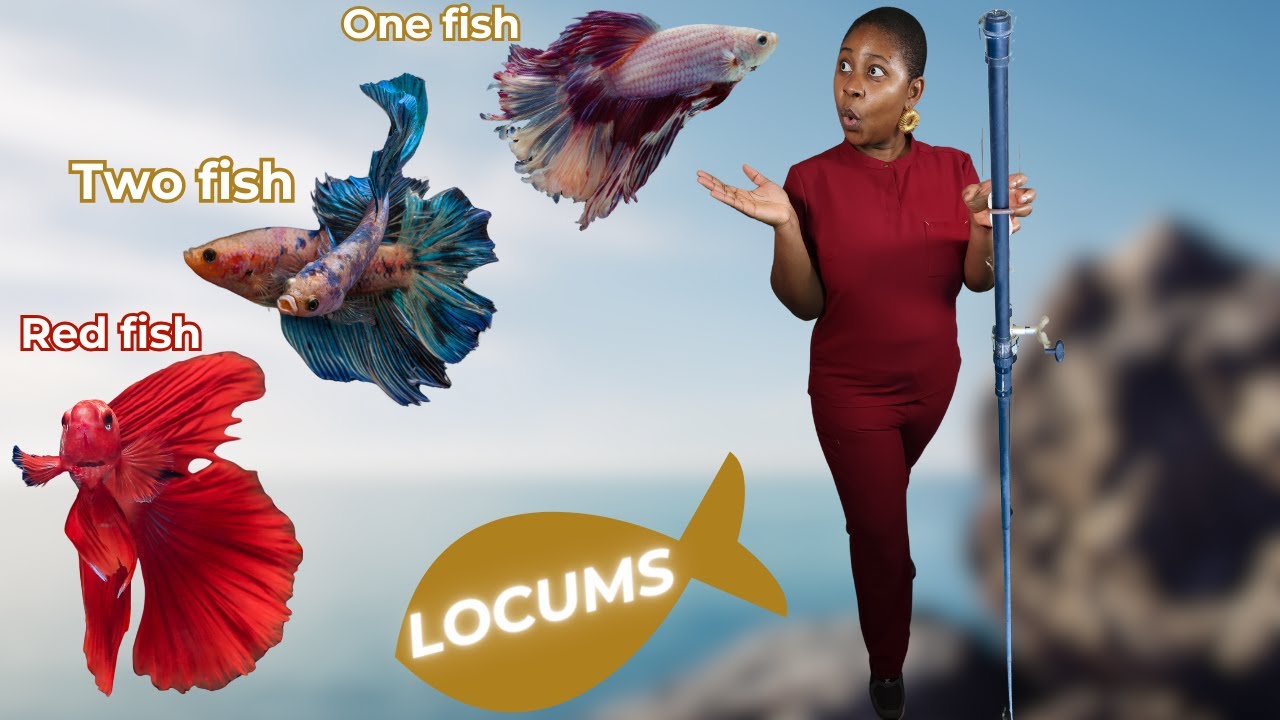 Finding the Best Locums Agencies | Recruiter Tactics, and the Independent Physician's Dilemma PART 1