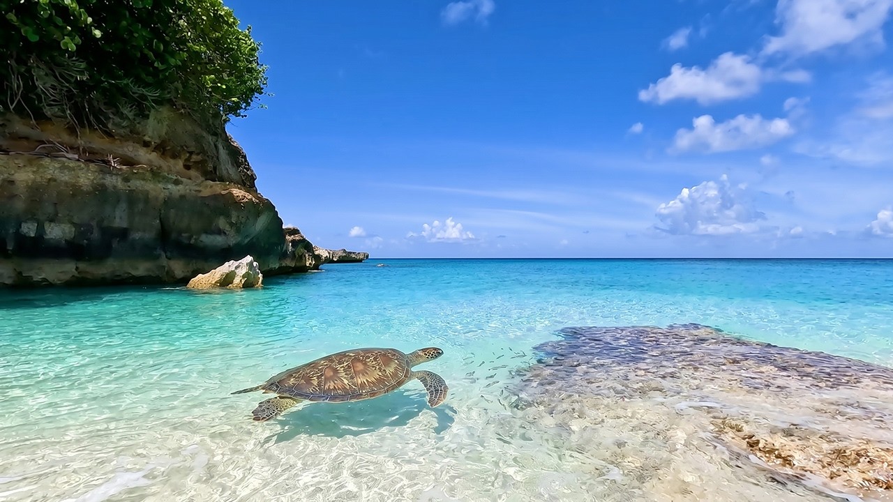 (No AI) 6 Hours of Beautiful Beach Ambience & Ocean Sounds Tranquility