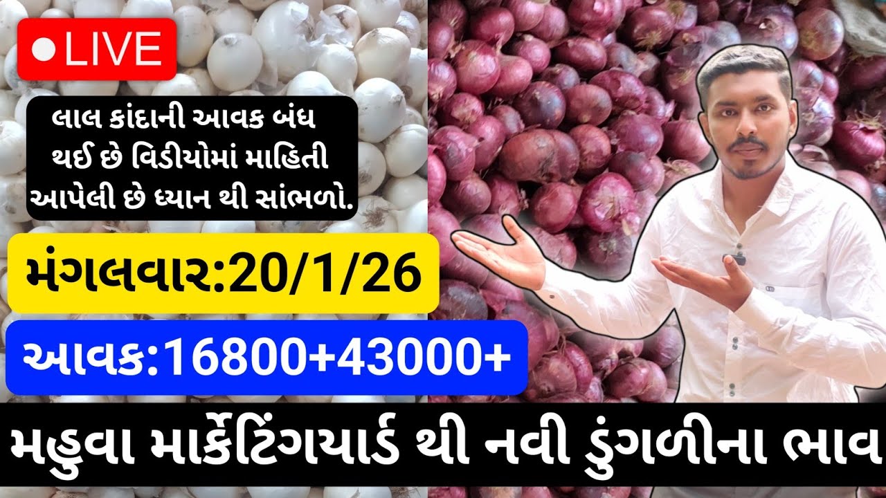 મહુવા થી લાલ અને સફેદડુંગળીના ભાવ🔥| 20/1/26 | White & Red Onion Market Rate Today💸| लाल ओर सफेद भाव🧅