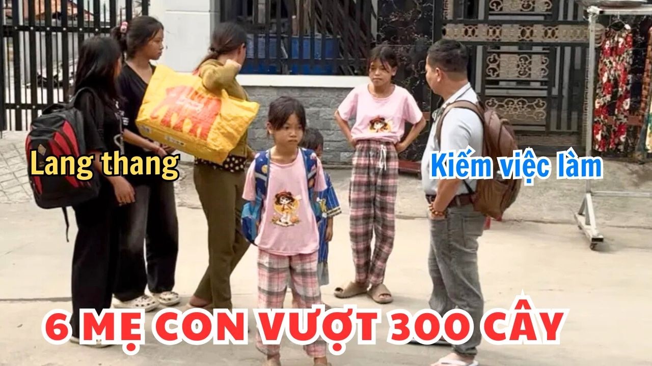 Sáu mẹ con vượt hơn 300 cây số lang thang để kiếm việc làm