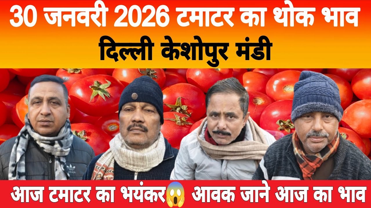 30 Jan 2026 Delhi 🍅 टमाटर होलसेल भाव | Keshopur Mandi | Today Tomato Rate #tamatar #tamatarmandi