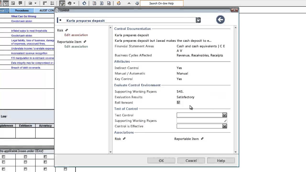 CaseWare Audit: Documenting Controls