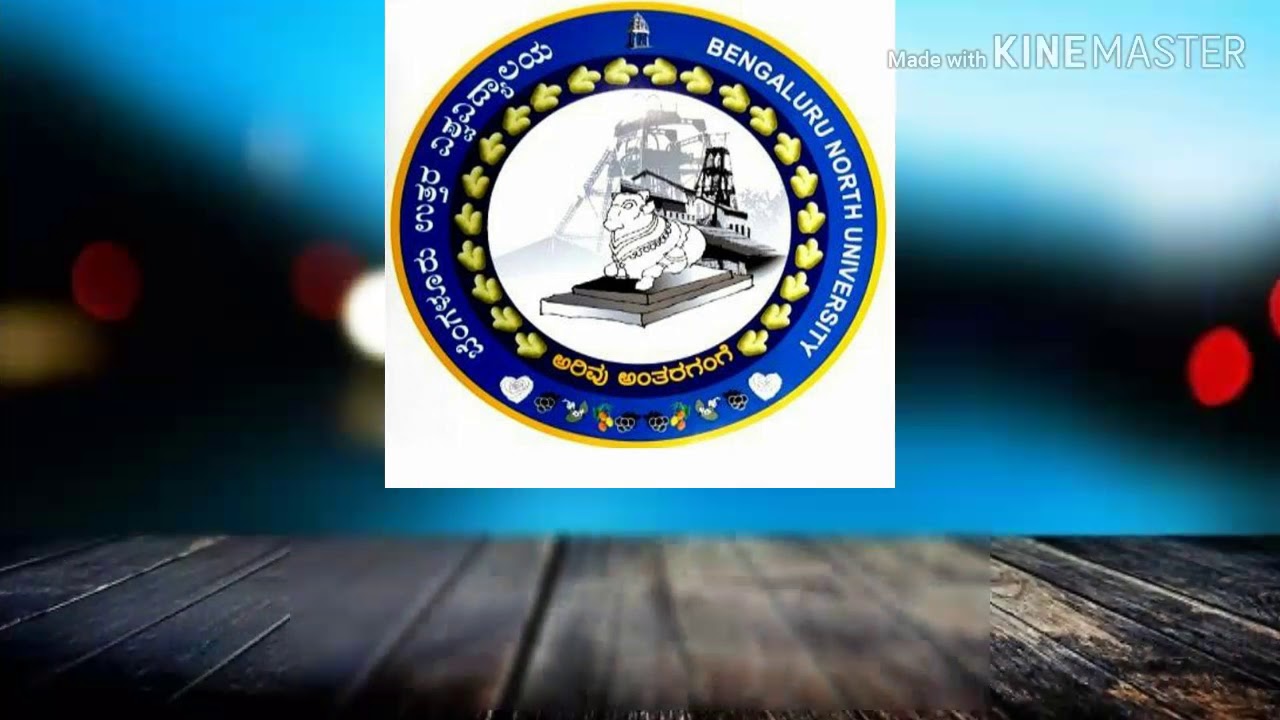 Bengaluru North university commerce Biz-Wiz program