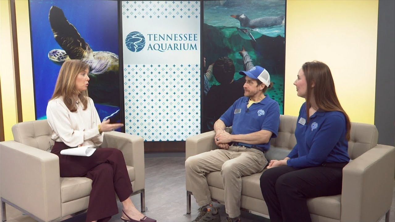 3 Plus Your Community- Tennessee Aquarium