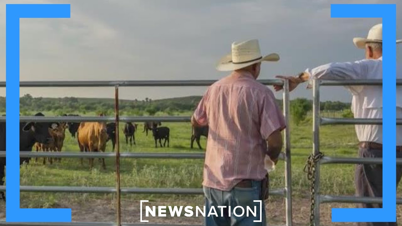 Texas smokehouses squeezed as beef supply tightens nationwide | Morning in America
