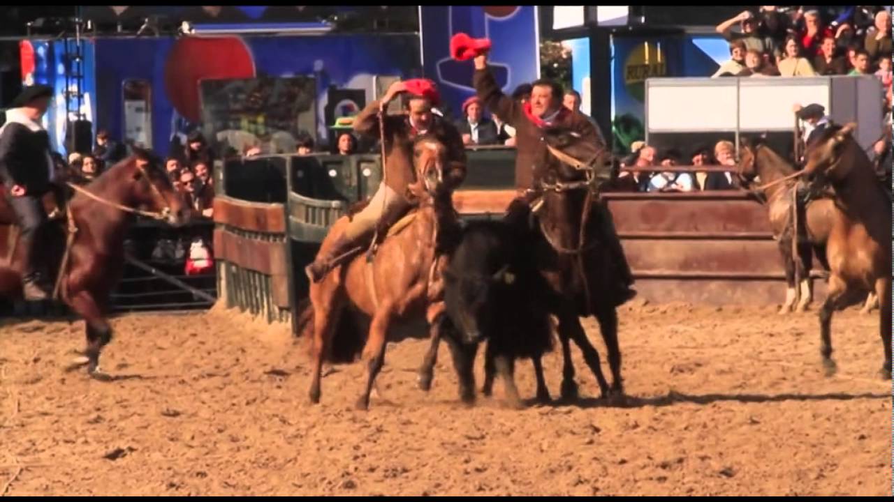 CABALLOS CRIOLLOS - PALETEADAS - Destreza Criolla