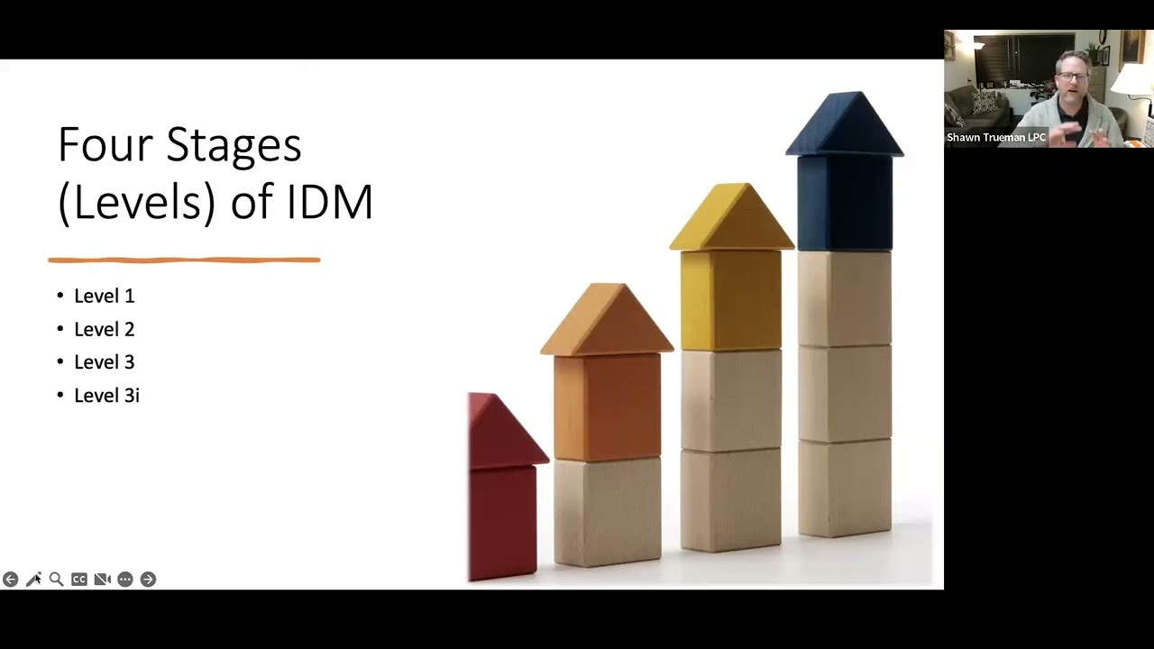 Overview of Integrated Developmental Model and Discrimination Model of Counseling Supervision