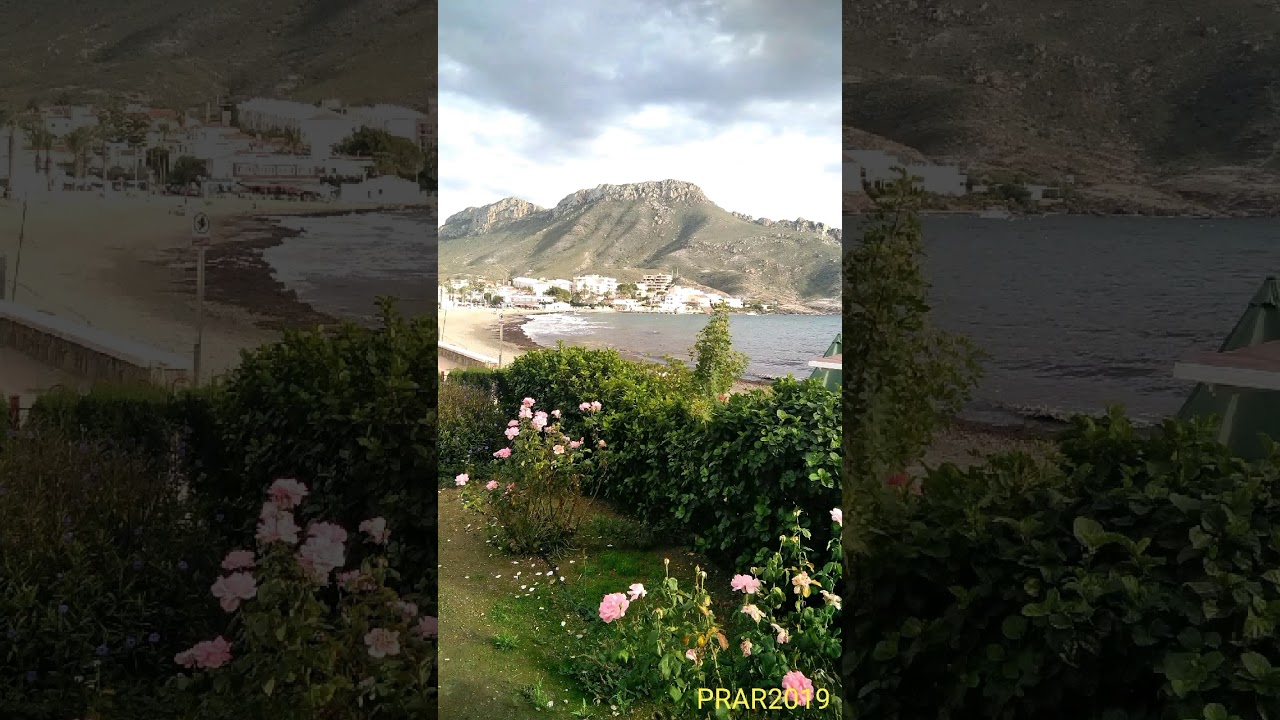 Calabardina Águilas (Murcia)