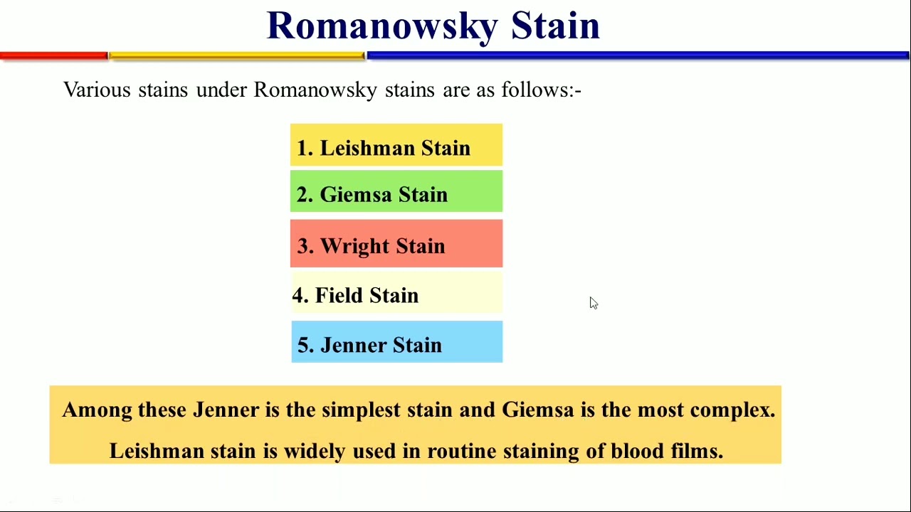 Romanowsky Stains &  Staining Procedure by Amitender Sir