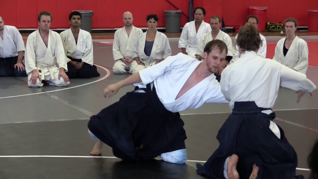 Birankai Aikido Summer Camp 2016 - K. Heins Class 2