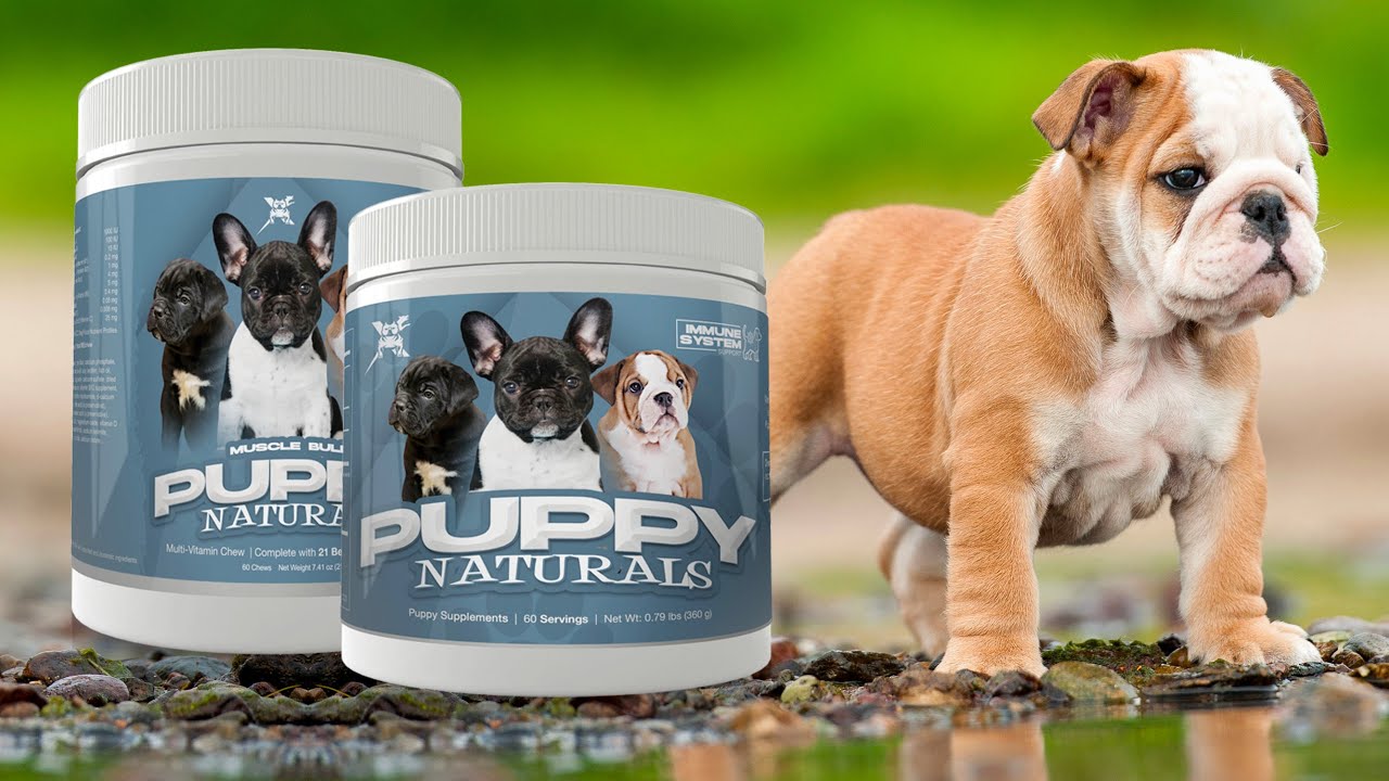 Muscle Bully Puppy Naturals Multi-Vitamin Chews and Immunity Supplement for Puppies.