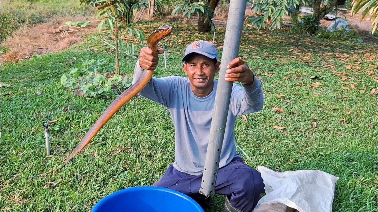 สอนวิธีทำบั้งลัน กระบอกดักปลาไหลนา