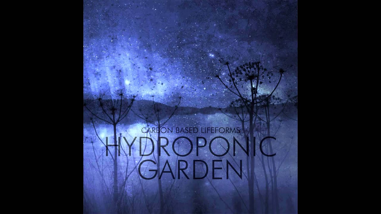 CARBON BASED LIFEFORMS - MOS 6581 (album version).HQ