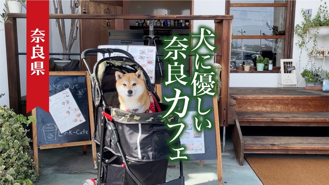 奈良で犬とカフェ＆ランチ〜Link cafe｜平城京｜スタバ奈良鴻ノ池運動公園店〜