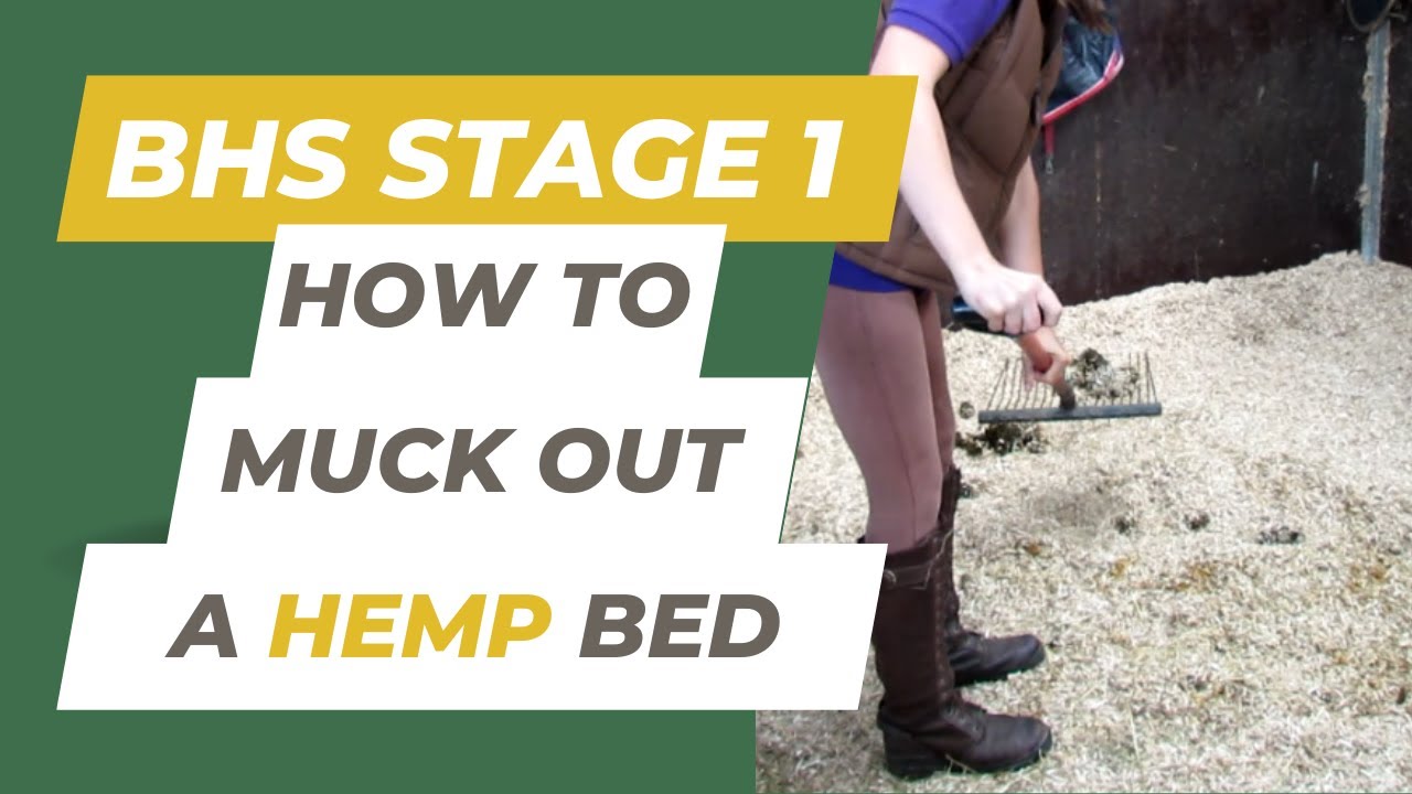 Stage 1: How To Muck Out a Hemp Bed.