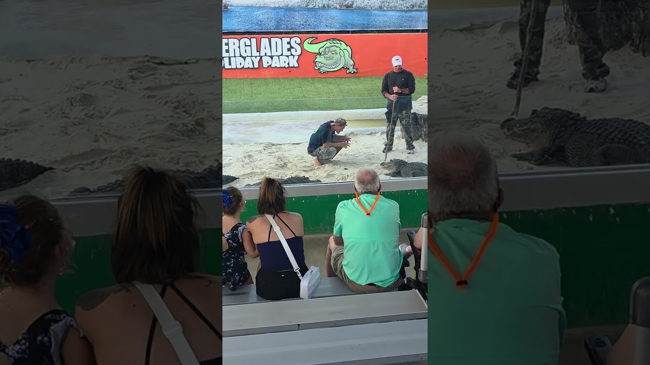LIVE Gator Boys Show at Everglades Holiday Park 🐊 | Real Crowd. Real Gators.