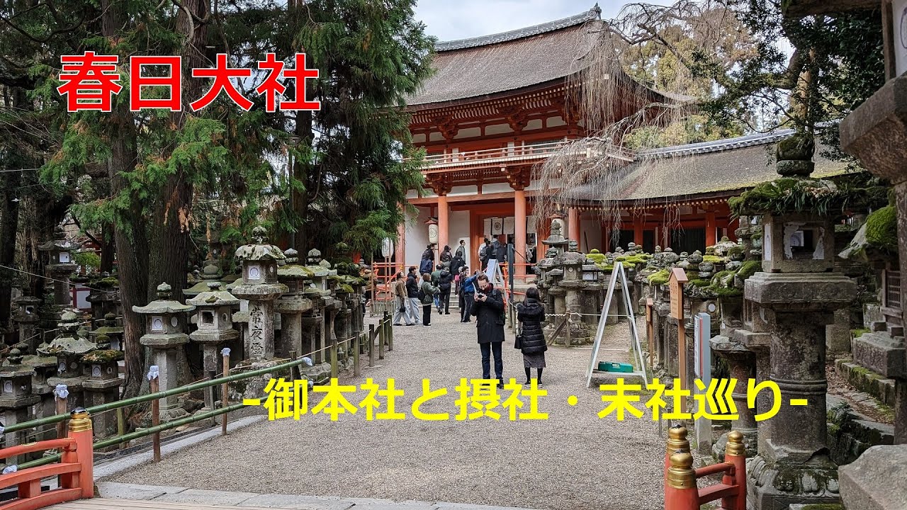 春日大社　－御本社と摂社・末社巡り－　 #shrine #nara