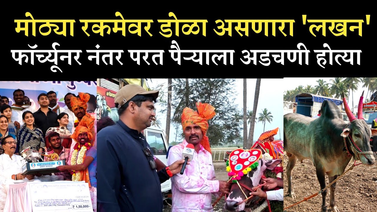 लखन आणि सर्जा पुन्हा एकदा मानकरी...