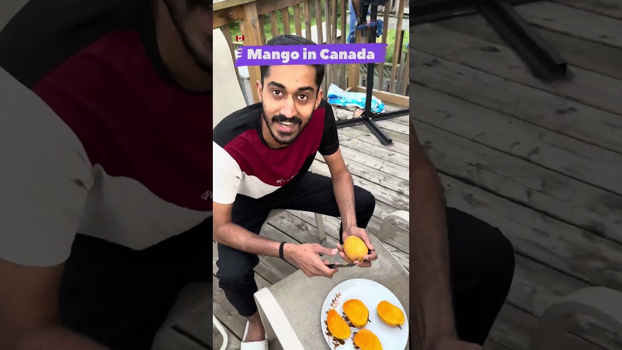 Eating mango in Canada - Funny #shorts