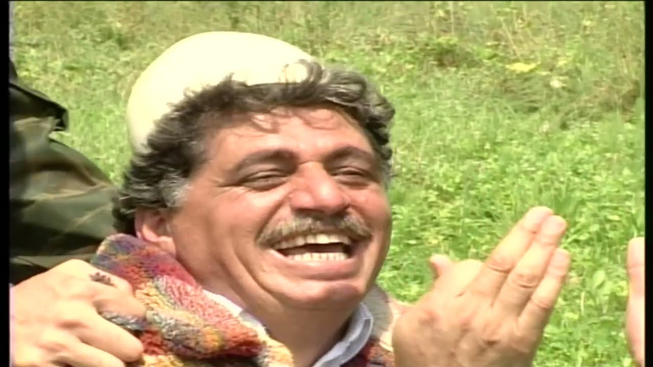 Sabri diverzanti