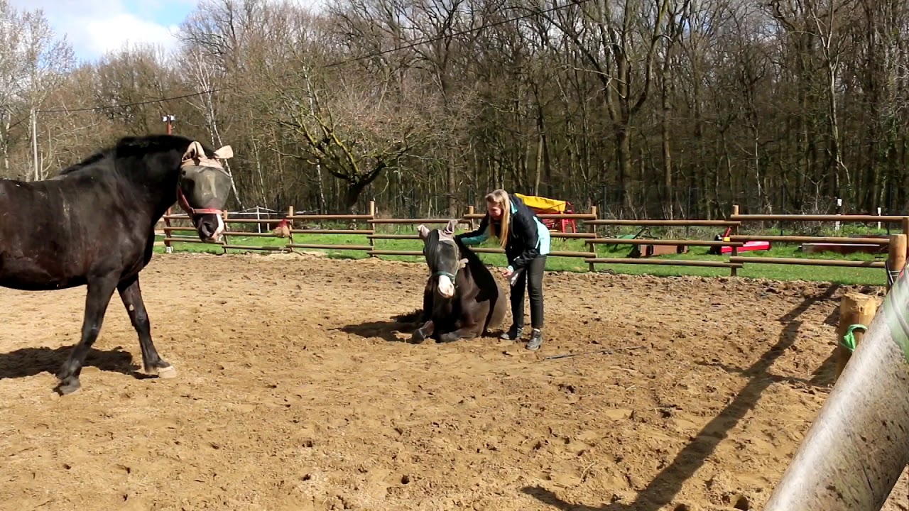 Lay Down and Dance with Janota & Justino