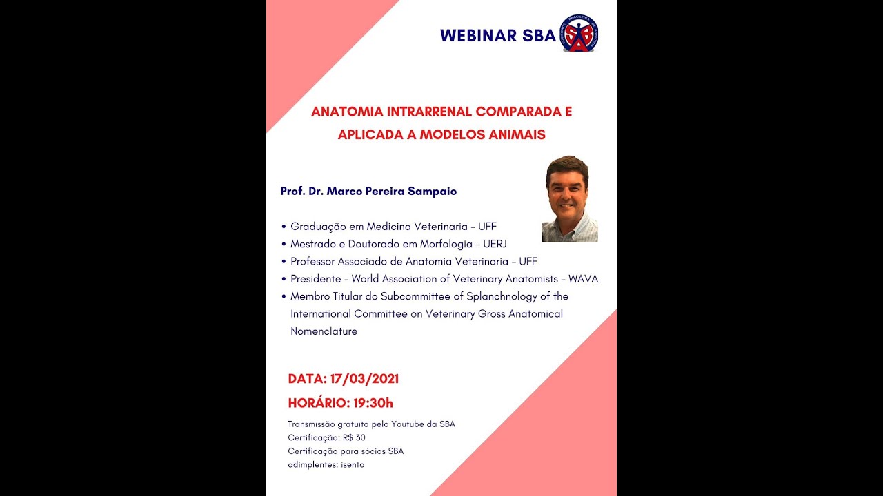 Anatomia Intrarenal Comparada e Aplicada em Modelos Animais - Prof. Dr. Marco Sampaio