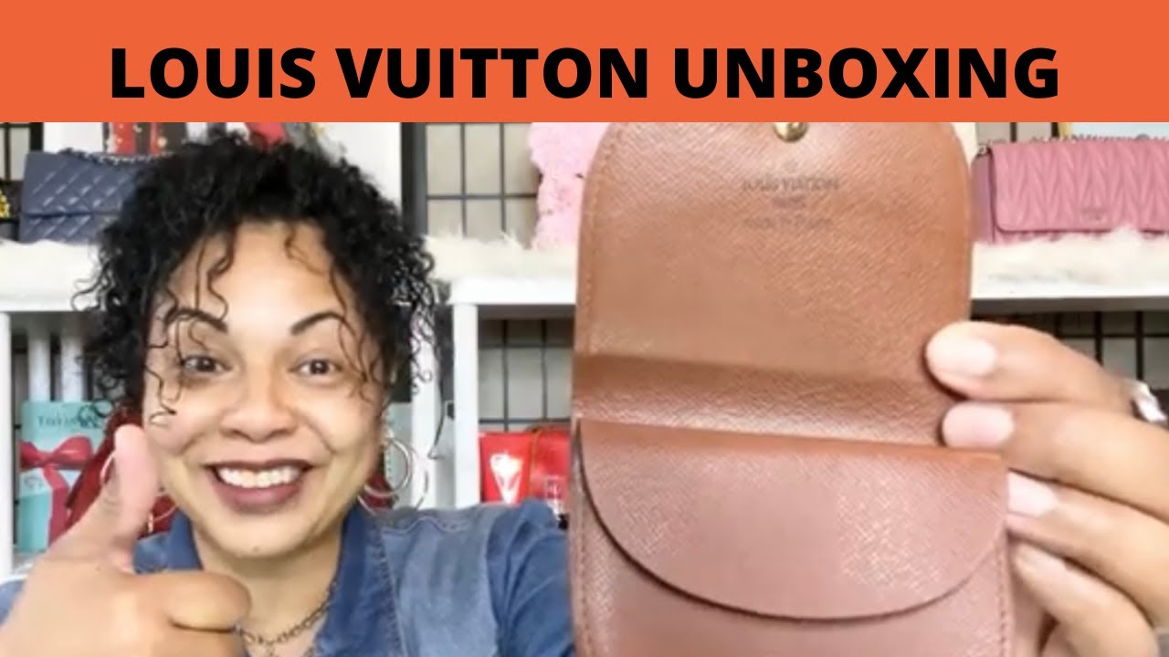 LOUIS VUITTON UNBOXING / MY NEW LOUIS VUITTON SLG POUCH COIN PURSE / REVEAL / MONCEAU BAG / LV WIMB