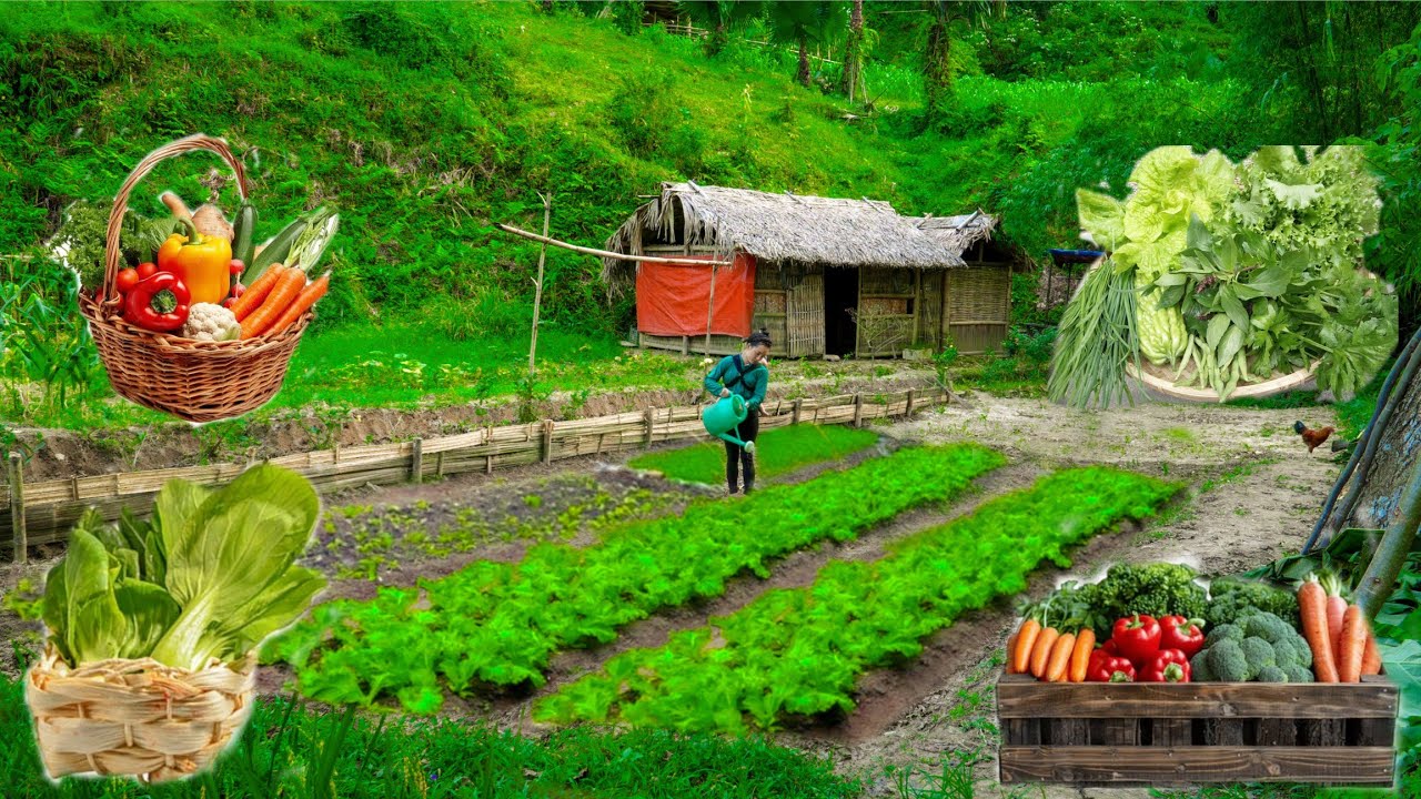 Living alone in the forest, raising children, growing vegetables in the garden, and raising cattle.