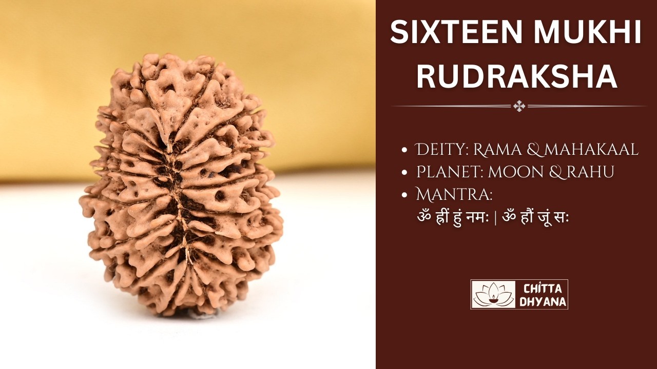 16 Mukhi Rudraksha Mantra | ॐ ह्रीं हुं नमः | ॐ हौं जूं सः | Rama & Mahakaal Shakti | Chitta Dhyana