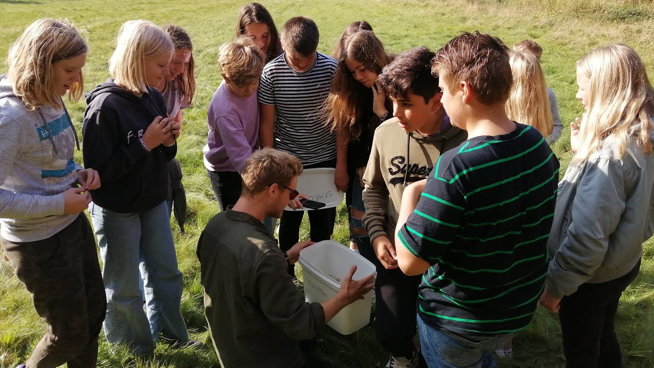 Leerlingen Northgo College krijgen les in het bos - OMROEP WEST